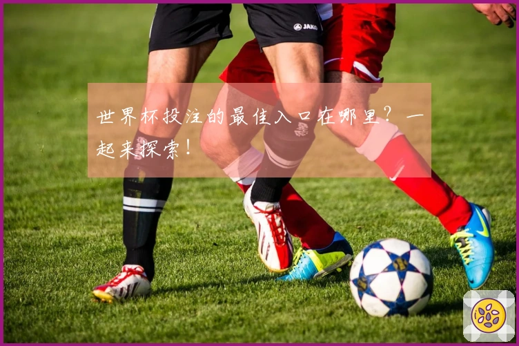 世界杯投注的最佳入口在哪里？一起来探索！