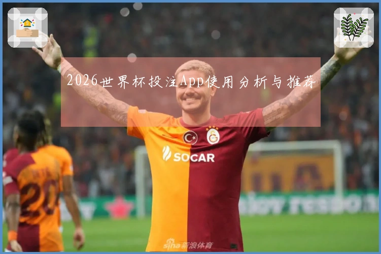 2026世界杯投注App使用分析与推荐