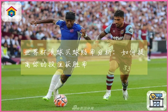世界杯滚球买球赔率分析：如何提高你的投注获胜率
