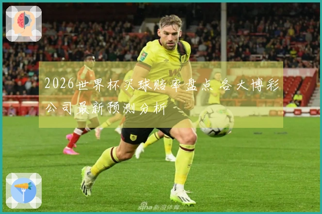 2026世界杯买球赔率盘点 各大博彩公司最新预测分析