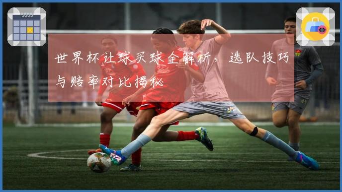 世界杯让球买球全解析，选队技巧与赔率对比揭秘