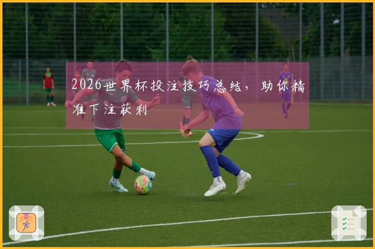 2026世界杯投注技巧总结，助你精准下注获利