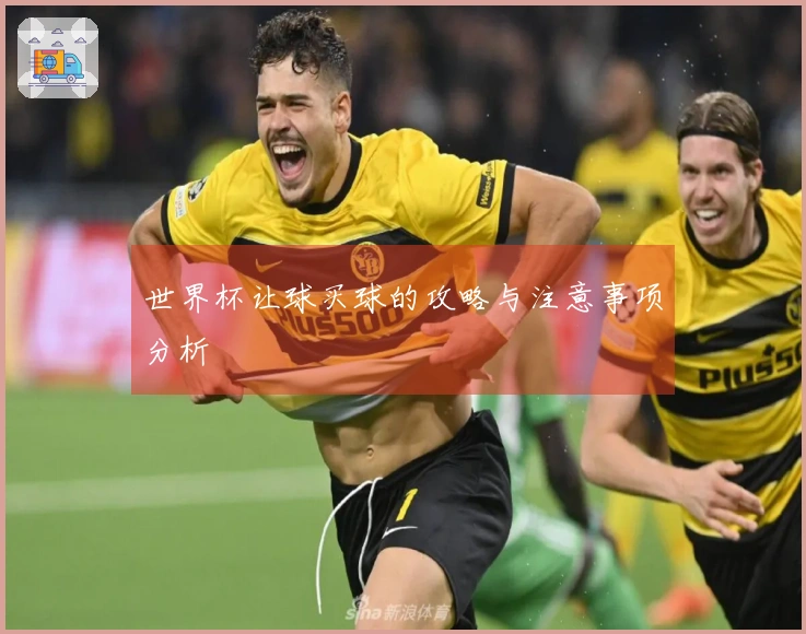 世界杯让球买球的攻略与注意事项分析