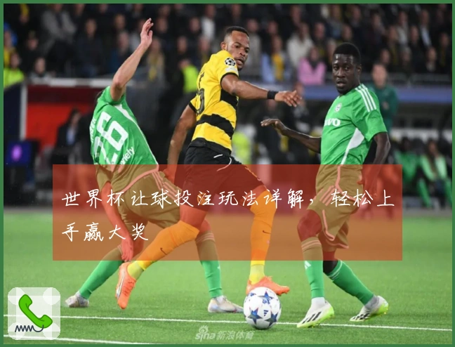 世界杯让球投注玩法详解，轻松上手赢大奖