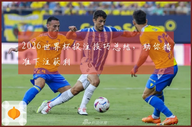 2026世界杯投注技巧总结，助你精准下注获利