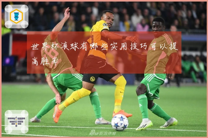 世界杯滚球有哪些实用技巧可以提高胜率
